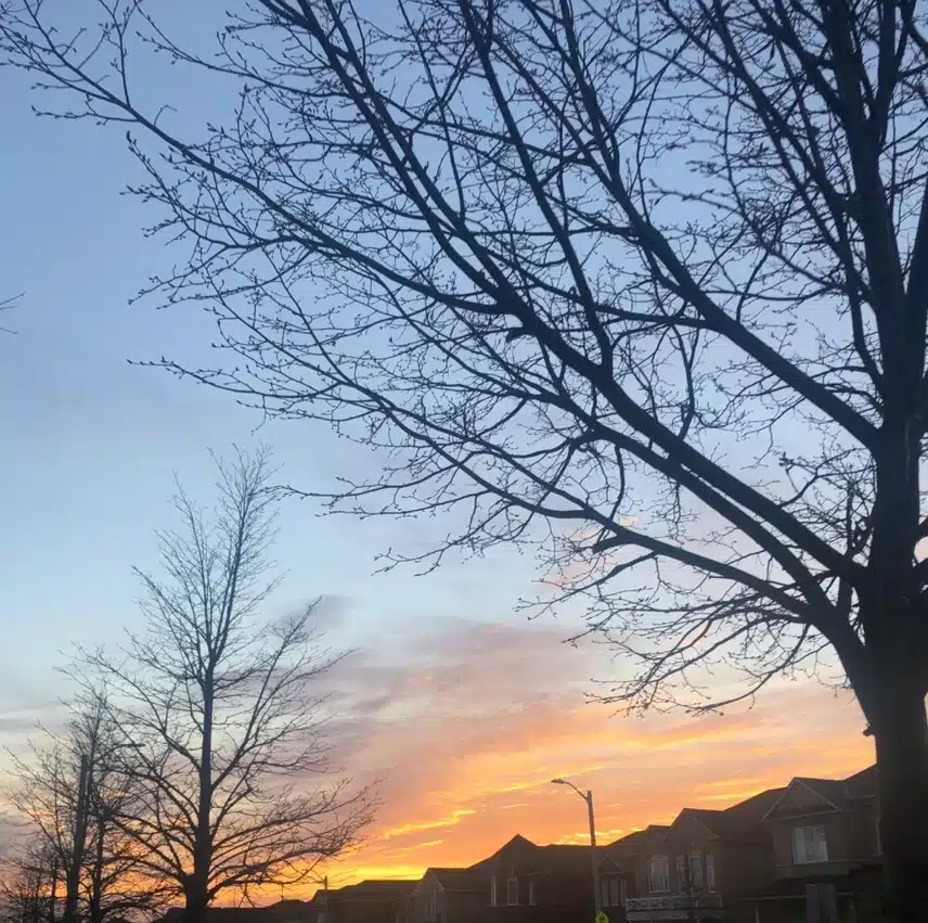 IMG_5068.jpeg_resize