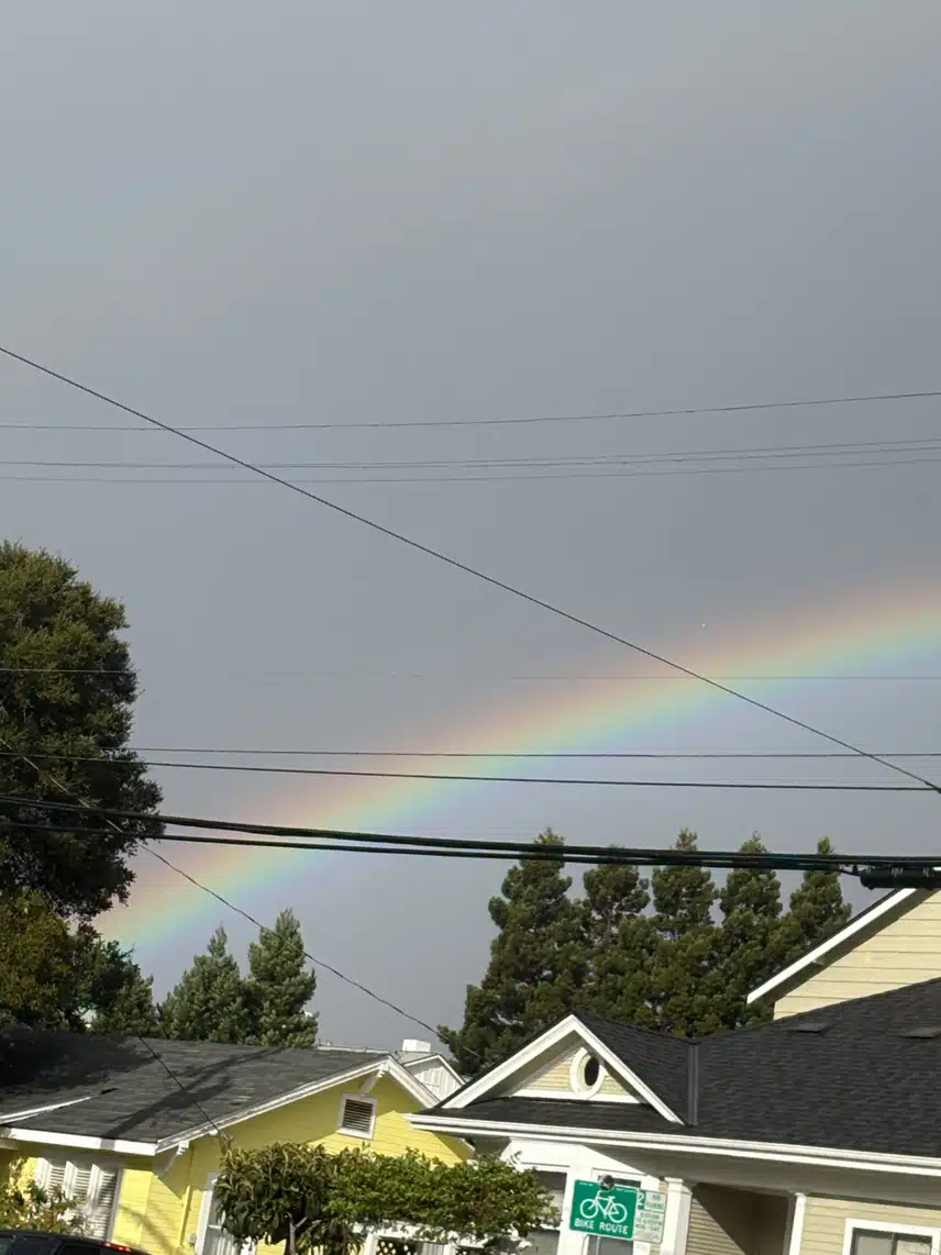 IMG_6405.jpeg_resize