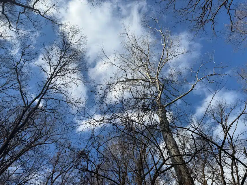 IMG_3863.jpeg_resize