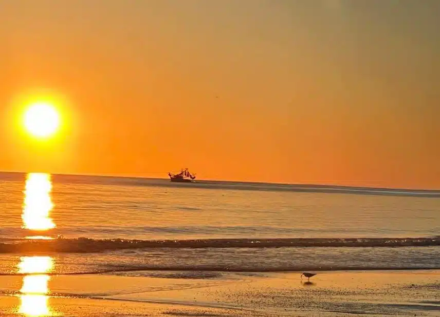 IMG_4807.jpeg_resize