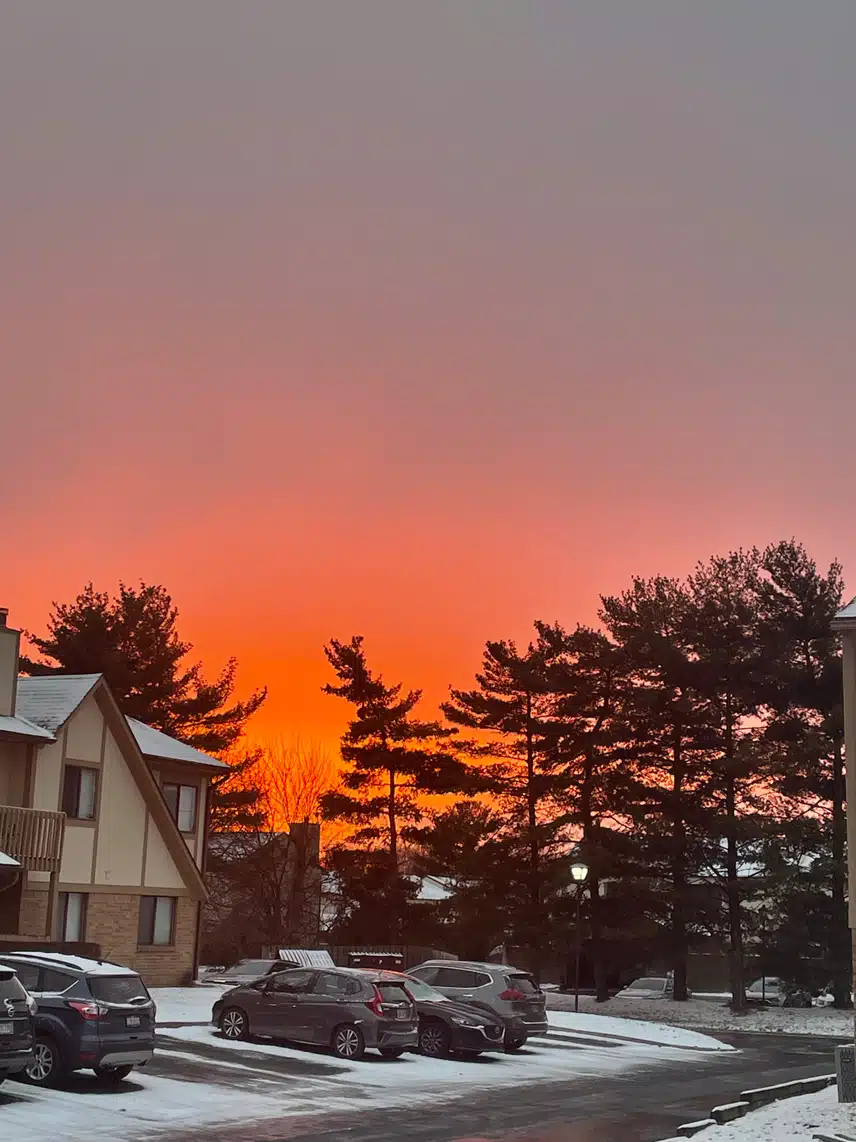 IMG_2271.jpeg_resize