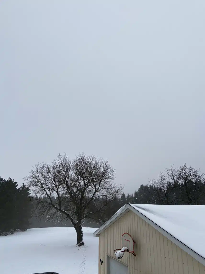 IMG_0162.jpeg_resize