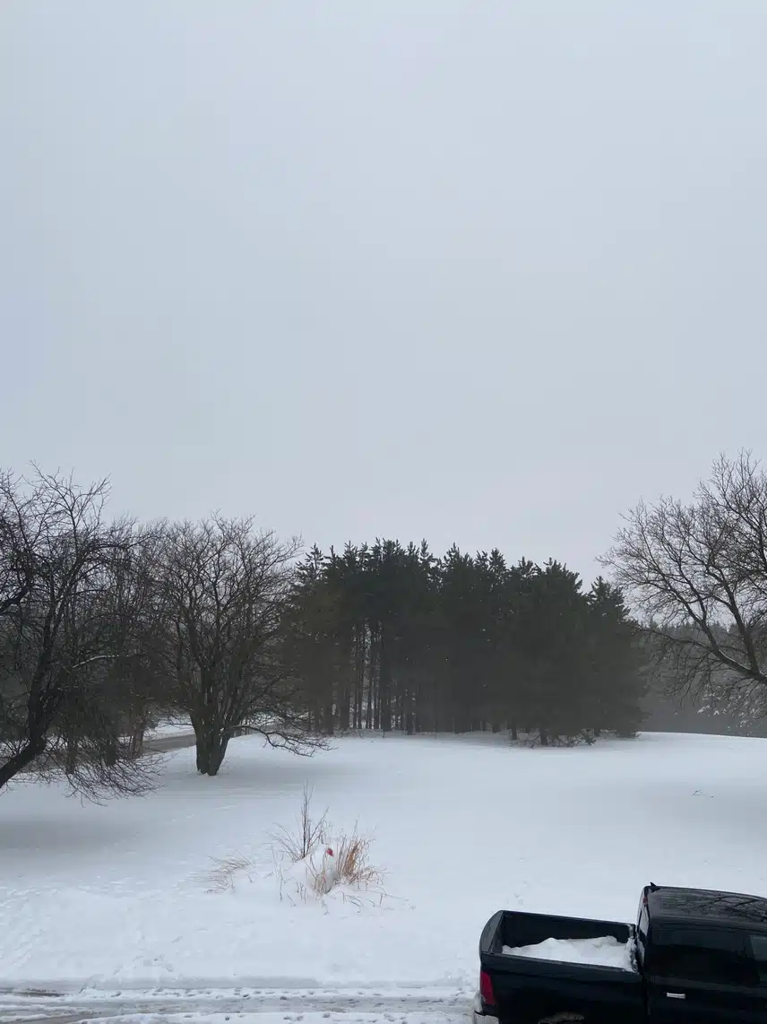 IMG_0161.jpeg_resize