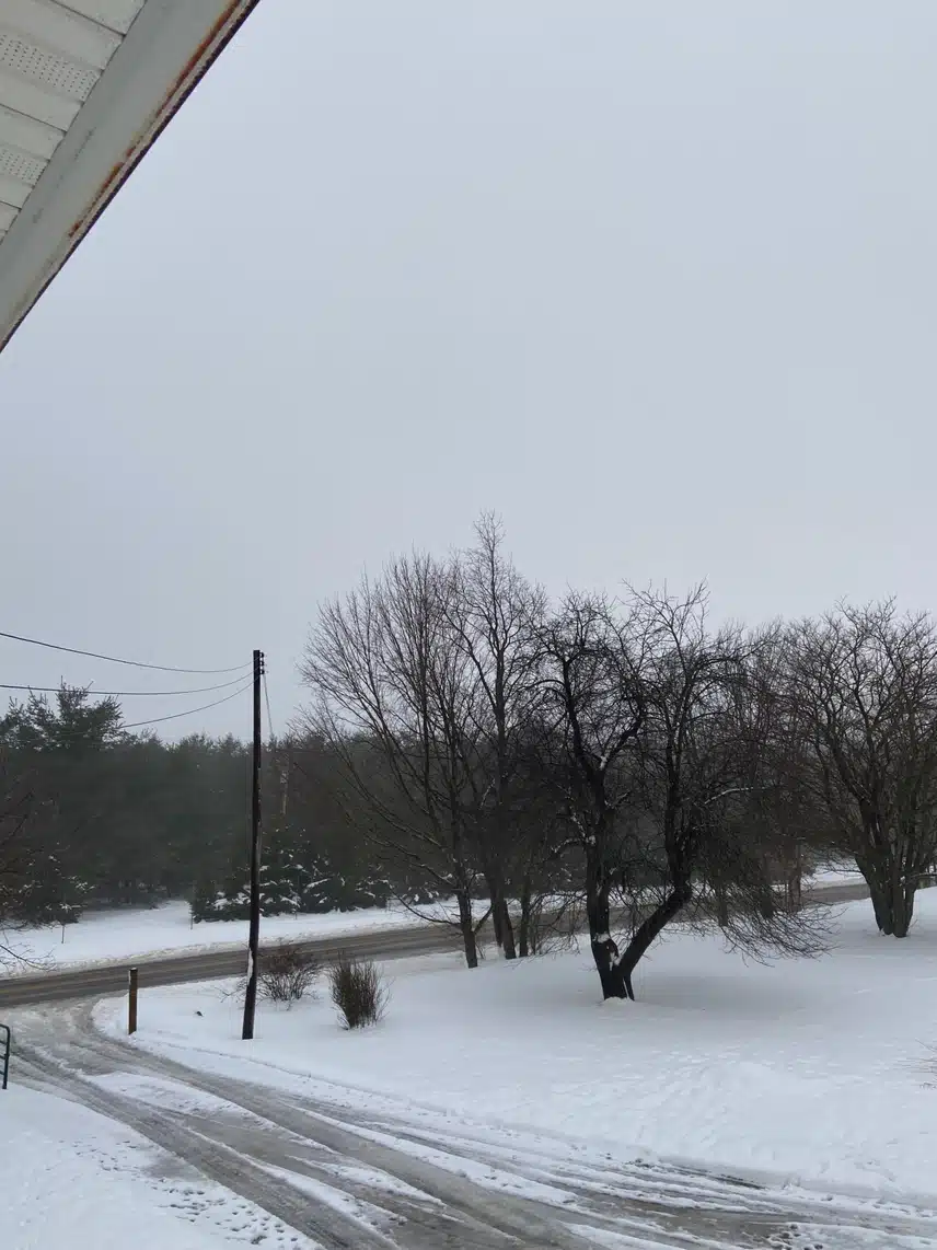 IMG_0160.jpeg_resize