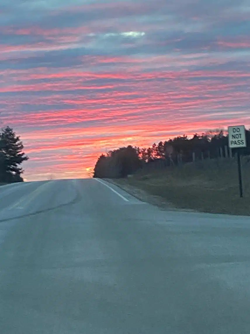 IMG_0698.jpeg_resize