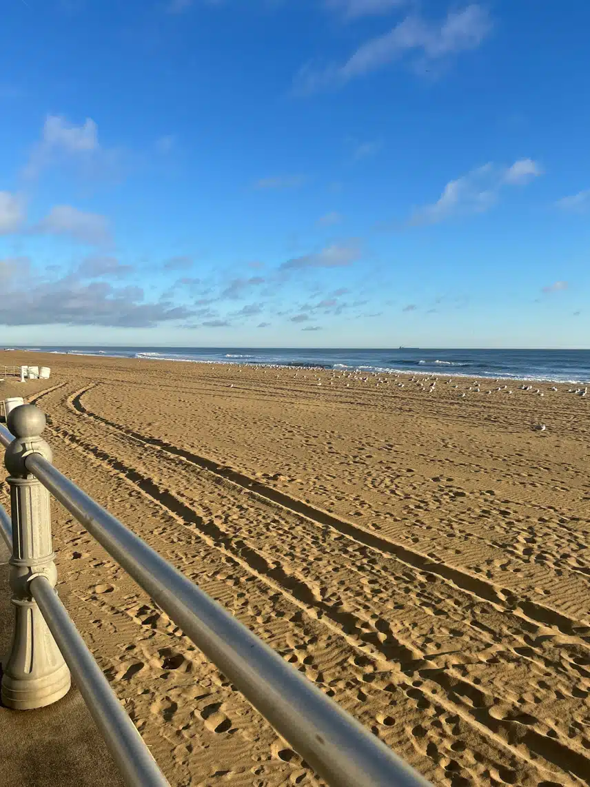 IMG_3184.jpeg_resize