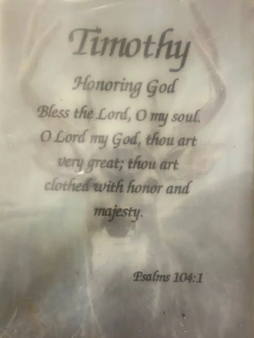 IMG_2462.jpeg_resize