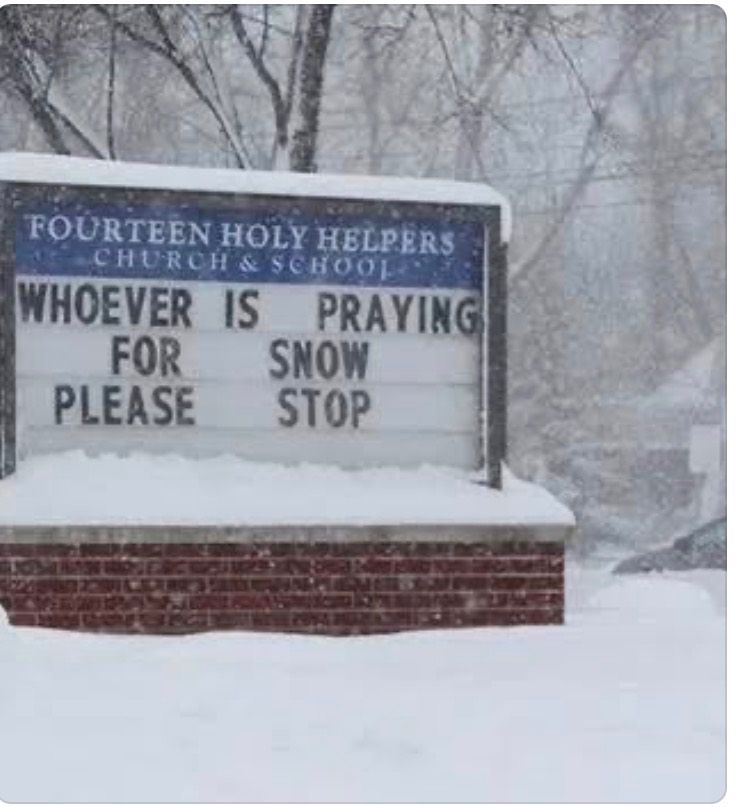 IMG_2567.jpeg_resize