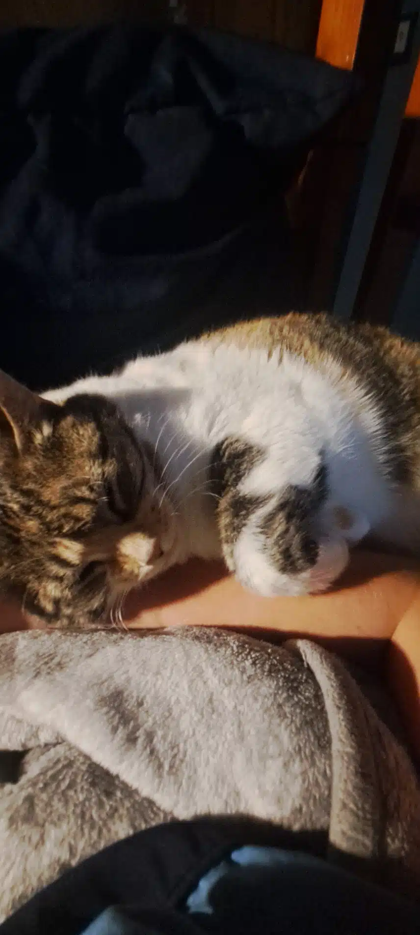 1000004905.jpg_resize