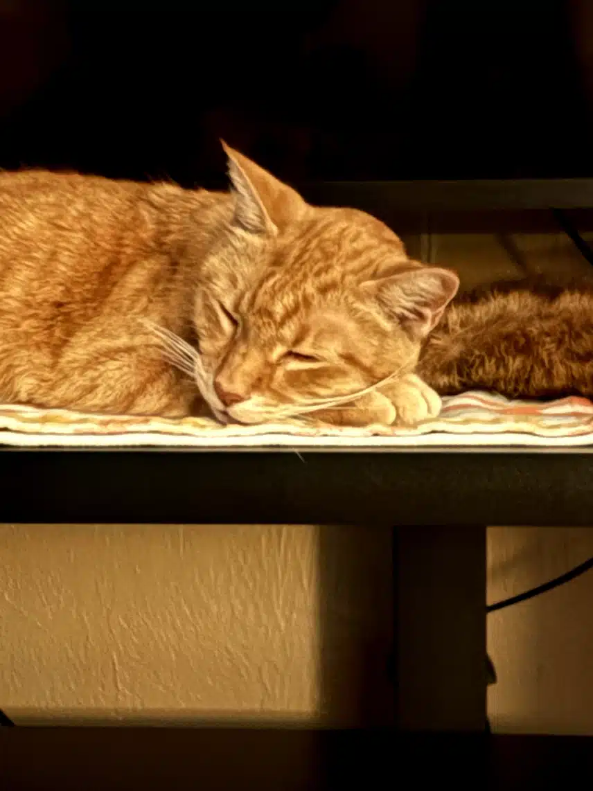 1000008685.heic_resize_resize