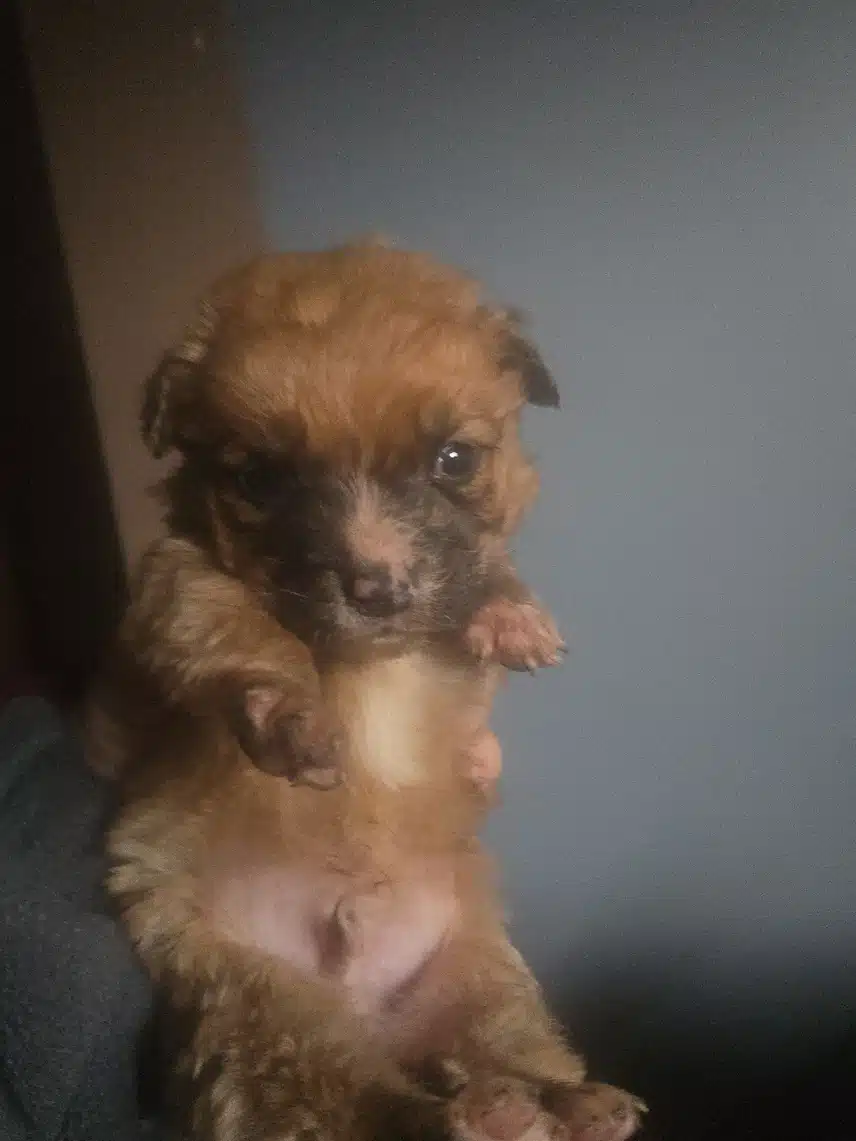 1000011958.jpg_resize