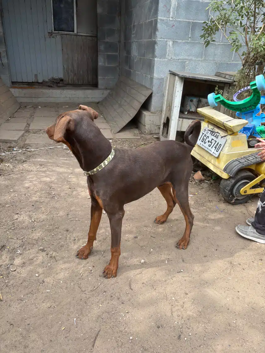 IMG_0060.jpeg_resize