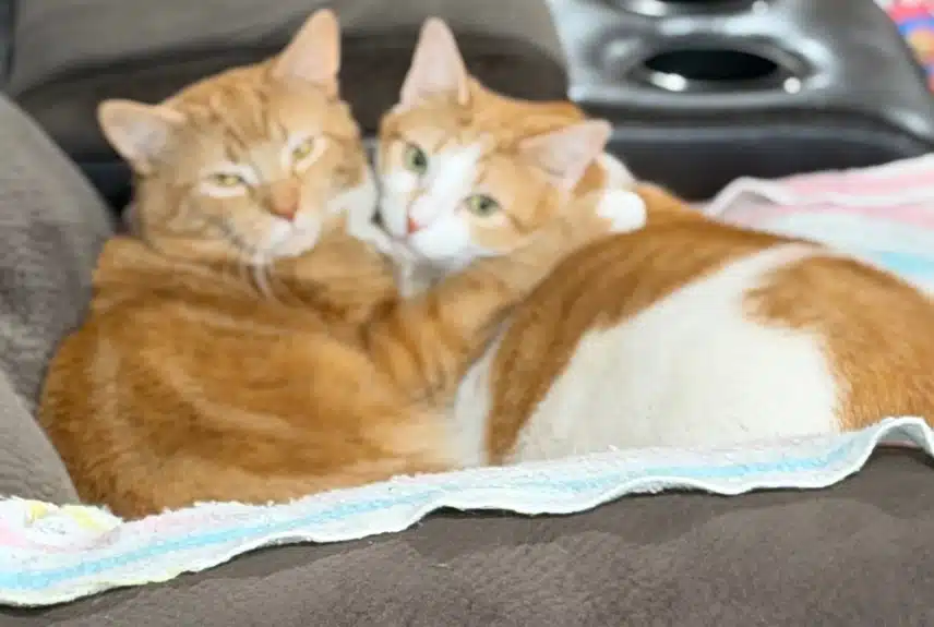 IMG_6653.jpeg_resize