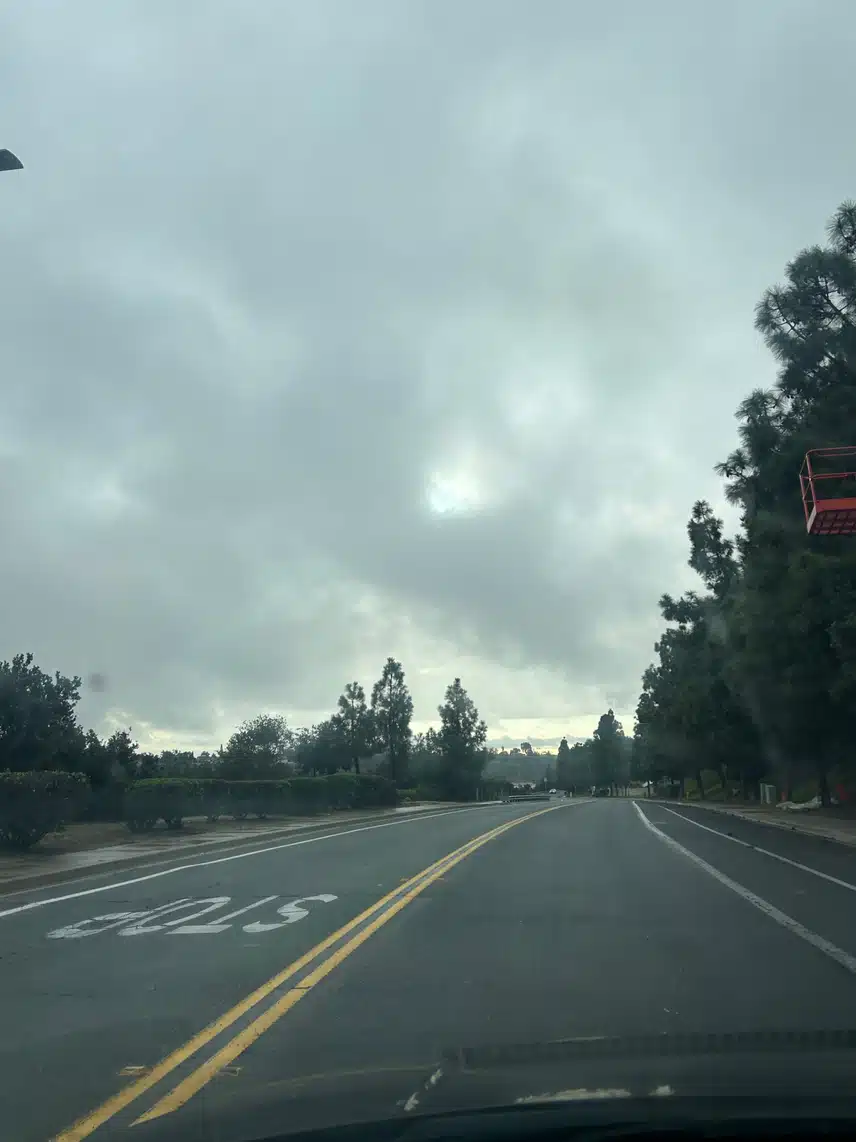 IMG_7254.jpeg_resize