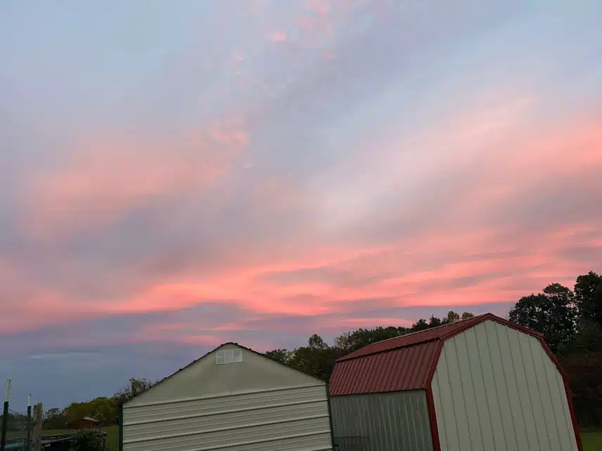 78243557490__8843CF58-4E8C-4525-88A3-D7D41C473902.jpeg_resize