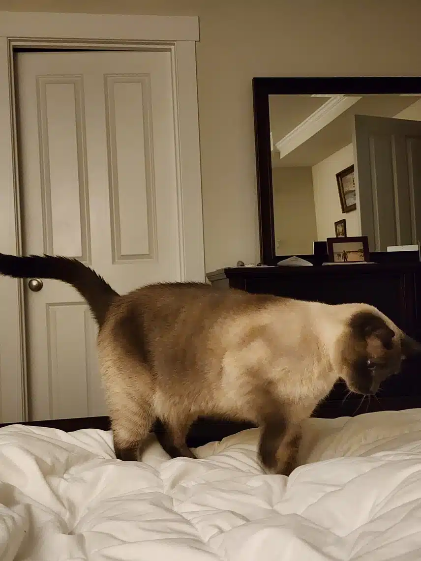 1000080449.jpg_resize