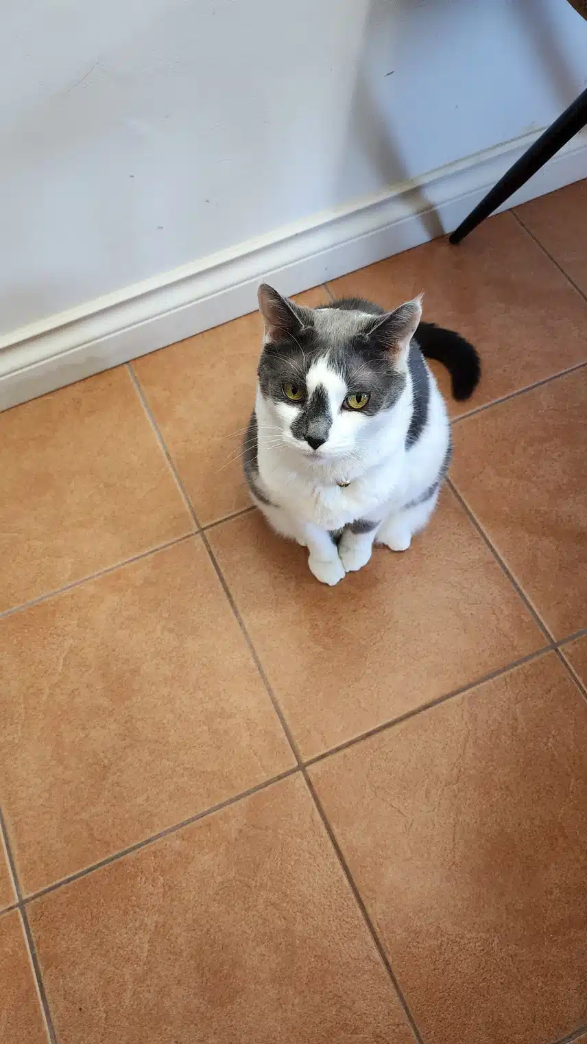 1000004892.jpg_resize