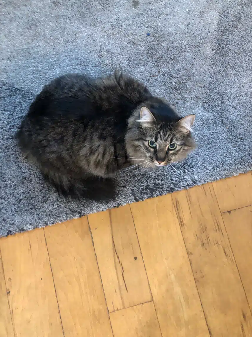 IMG_6358.jpeg_resize