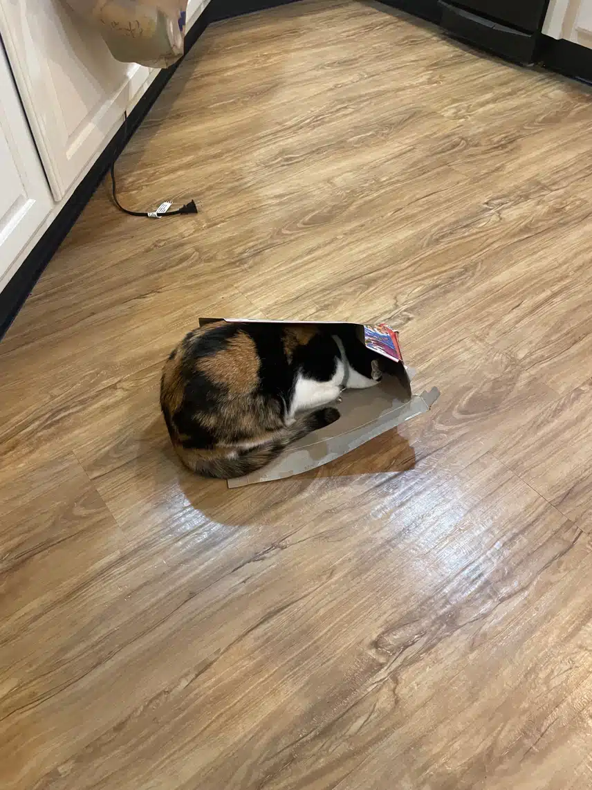 IMG_4325.jpeg_resize