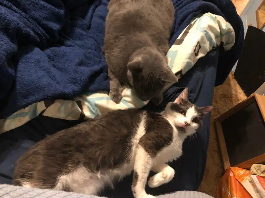 IMG_0948.jpeg_resize