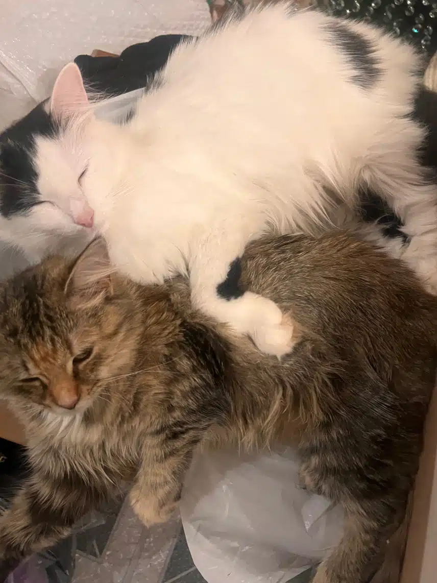 IMG_8397.jpeg_resize