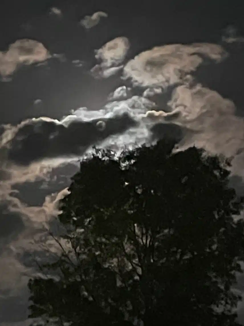 IMG_2572.jpeg_resize