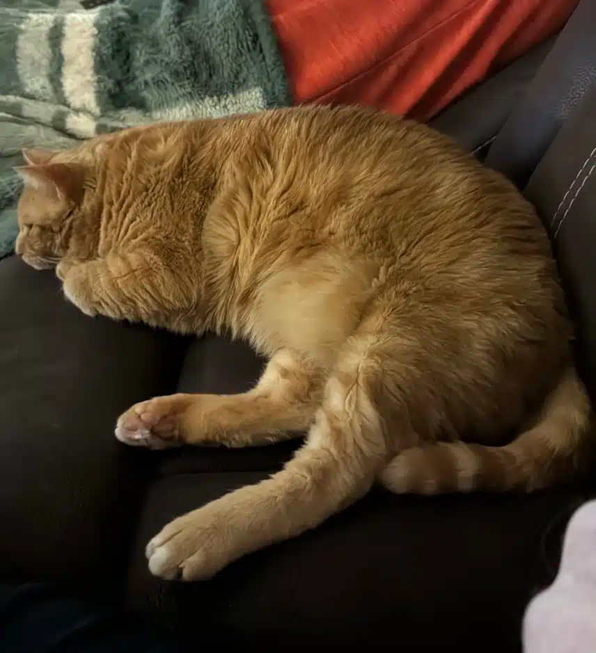 IMG_3169.jpeg_resize