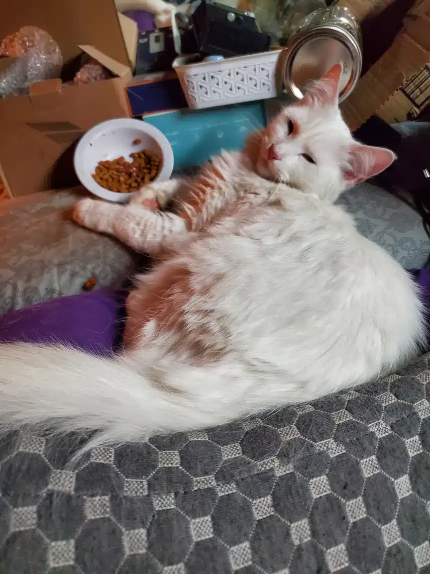 20260121_172015.jpg_resize