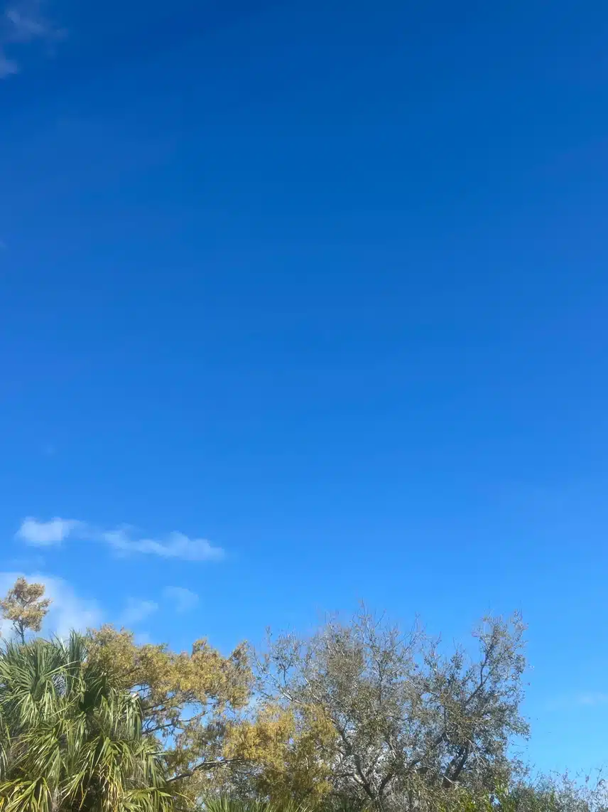 IMG_4978.jpeg_resize