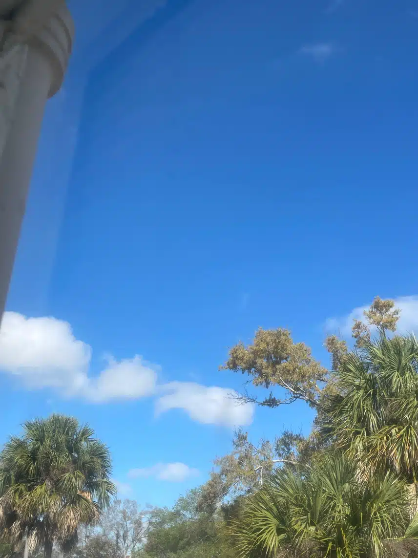 IMG_4975.jpeg_resize