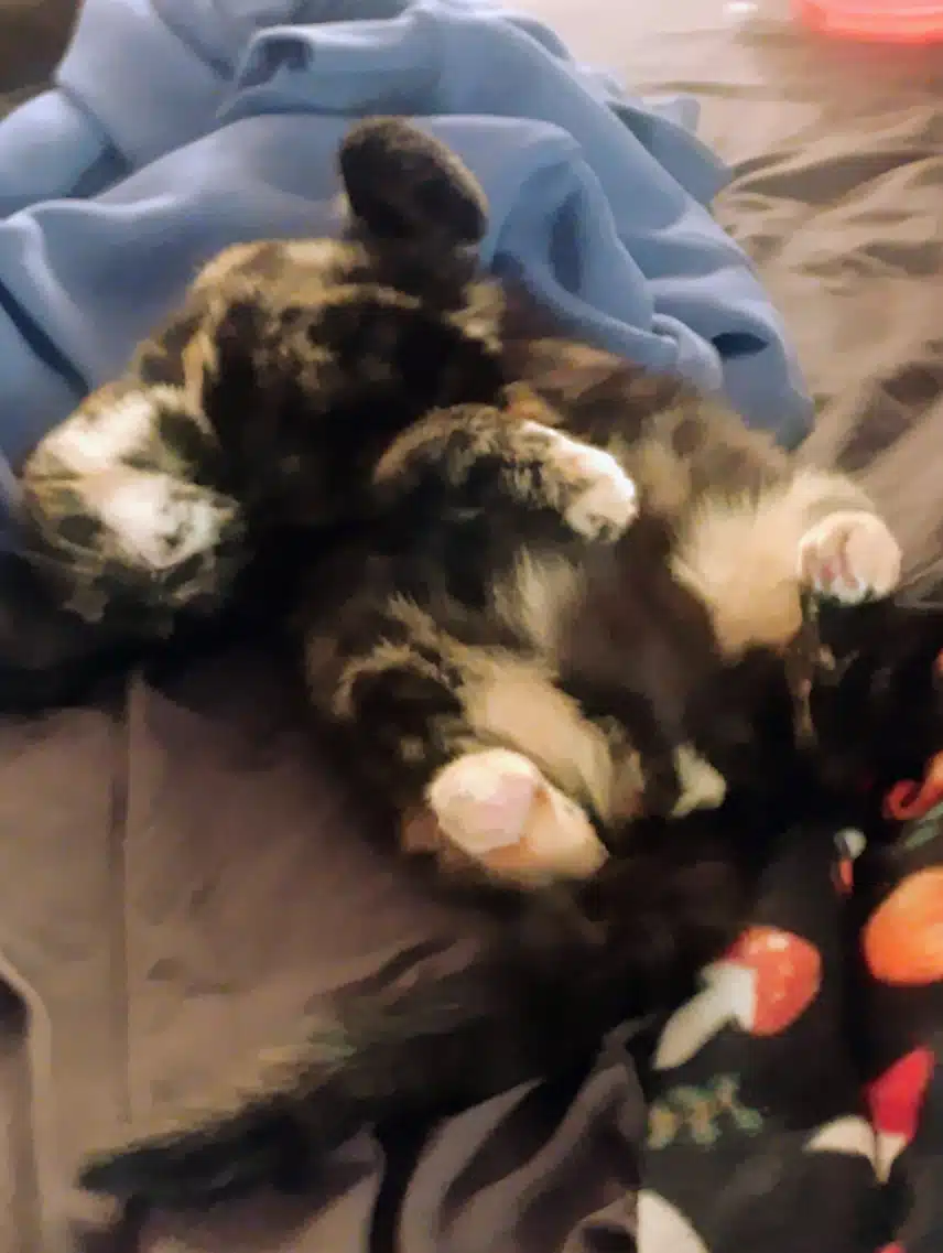 1000002169.jpg_resize