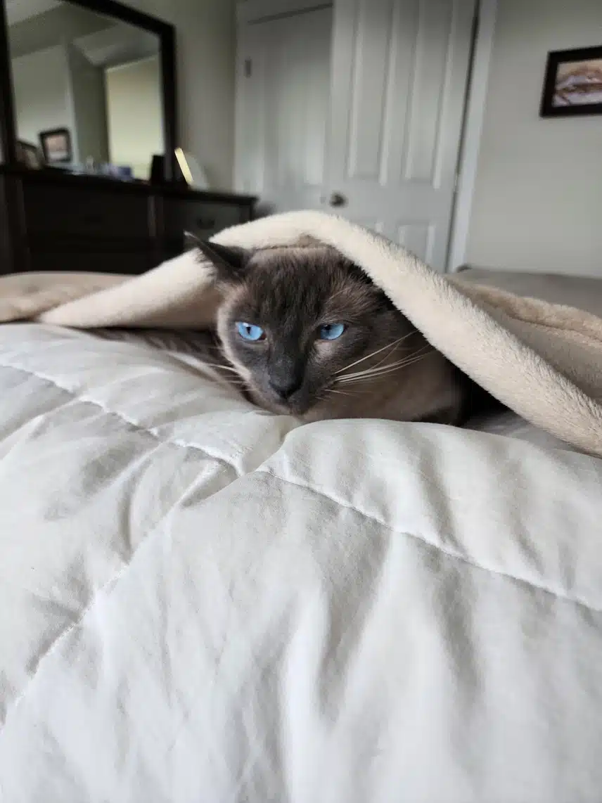 1000082480.jpg_resize