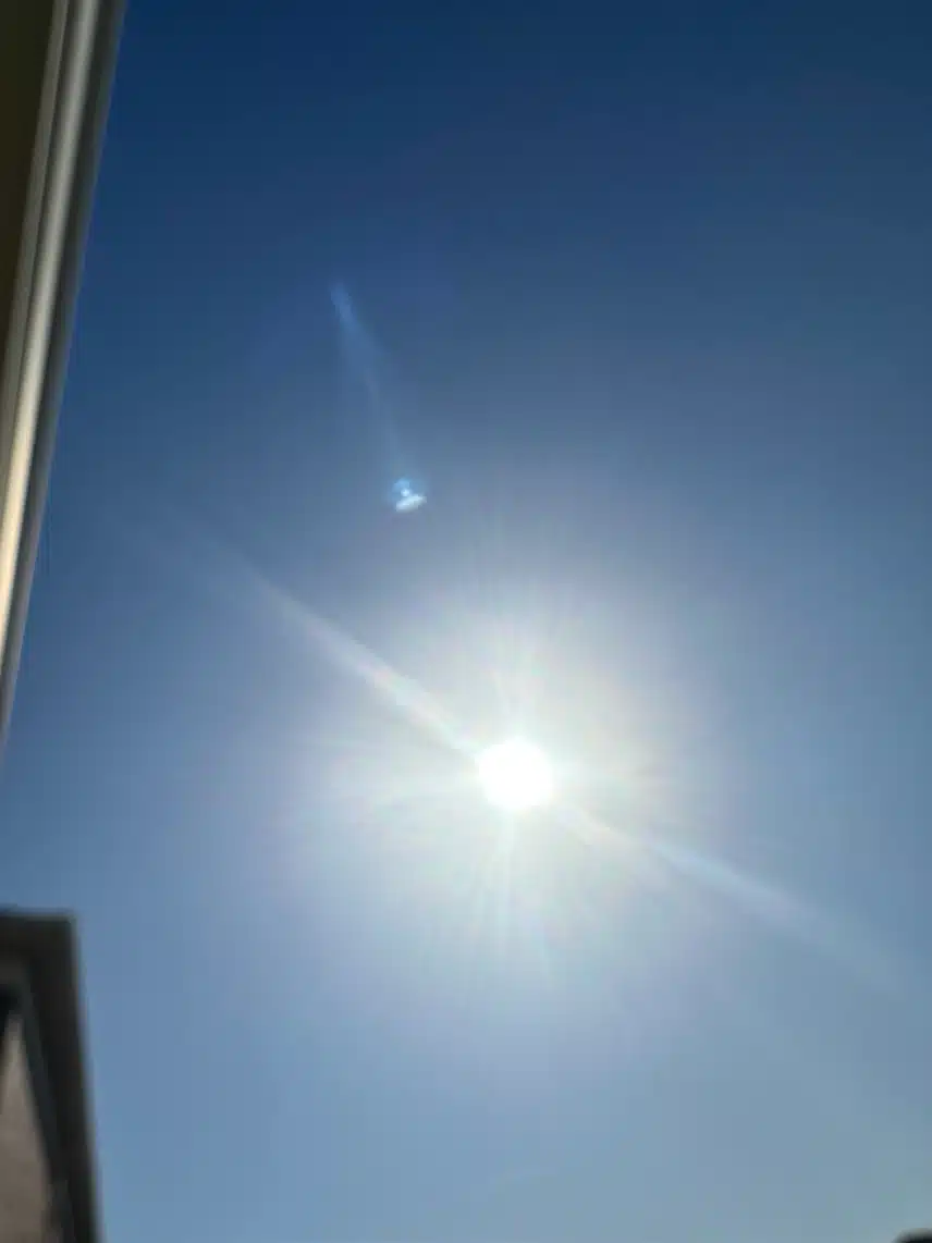 IMG_8398.jpeg_resize