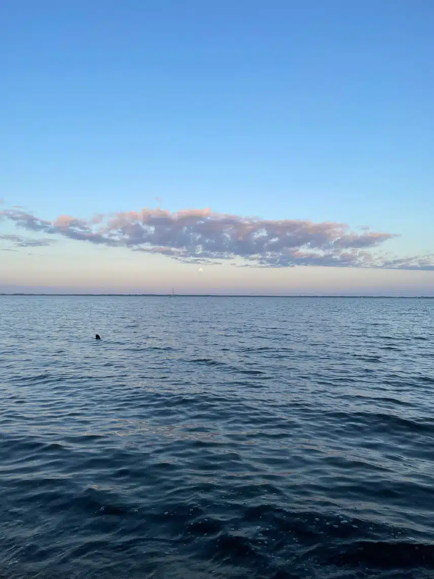 IMG_3678.jpeg_resize