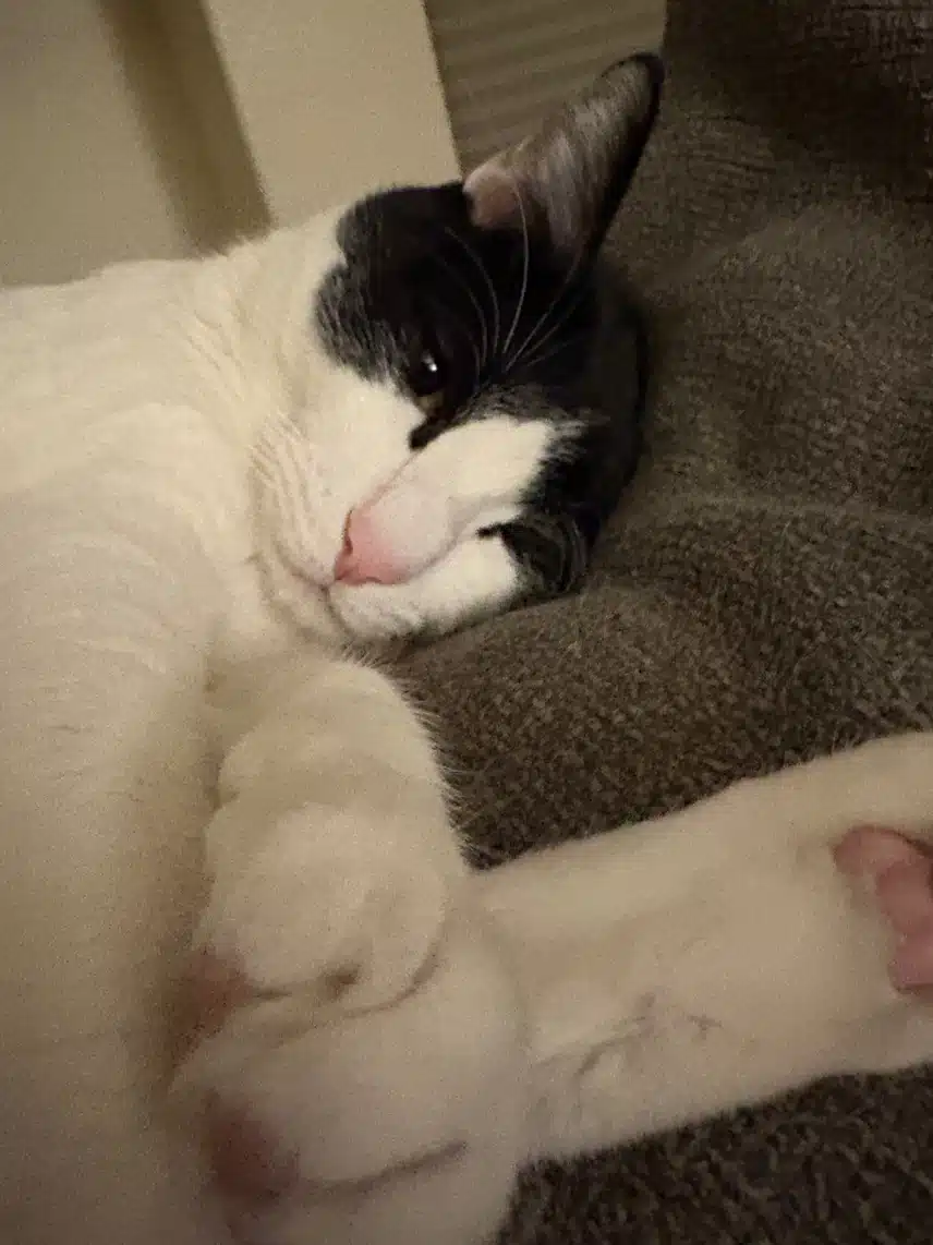 IMG_2017.jpeg_resize