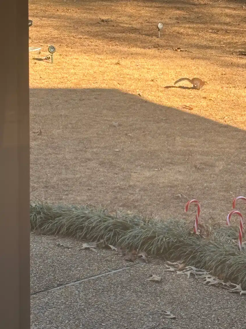 IMG_8041.jpeg_resize