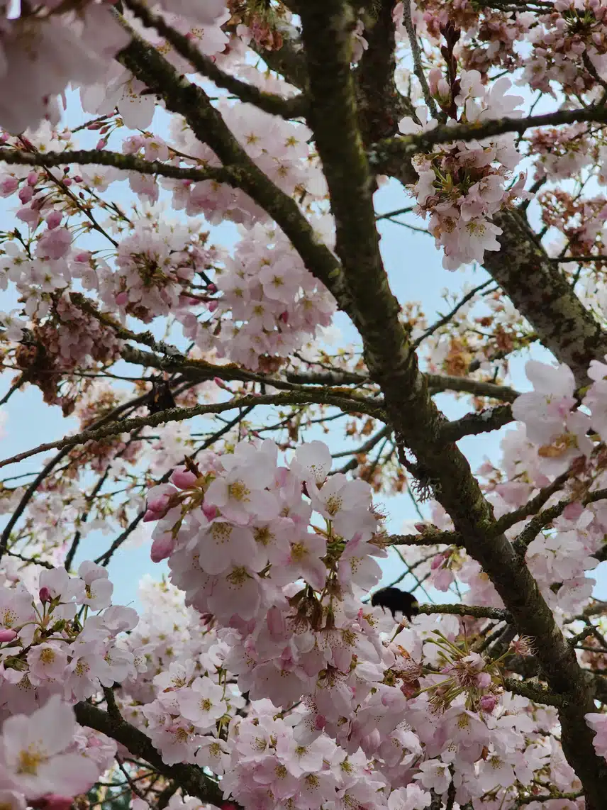 1000083918.jpg_resize