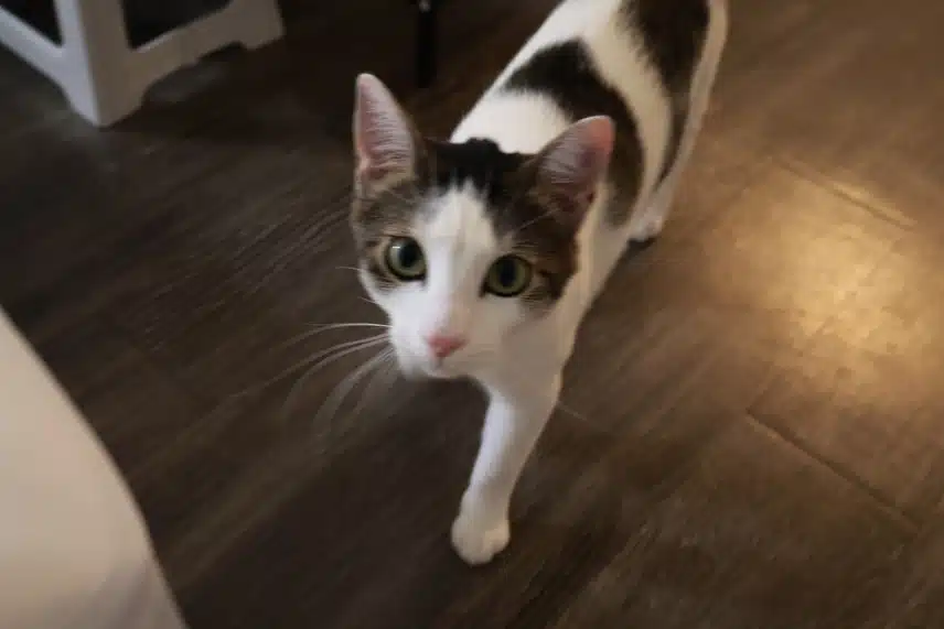 IMG_0427.jpeg_resize