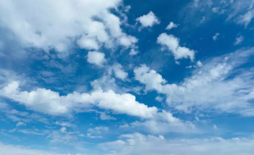 IMG_2291.jpeg_resize