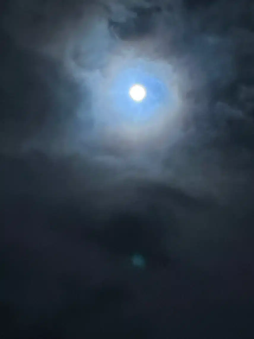 IMG_1682.jpeg_resize