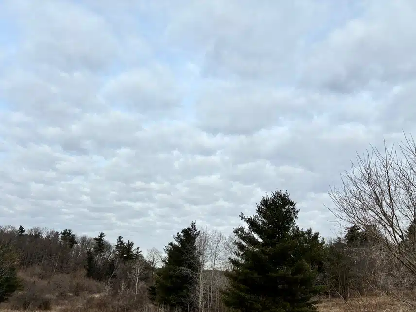 IMG_4736.jpeg_resize