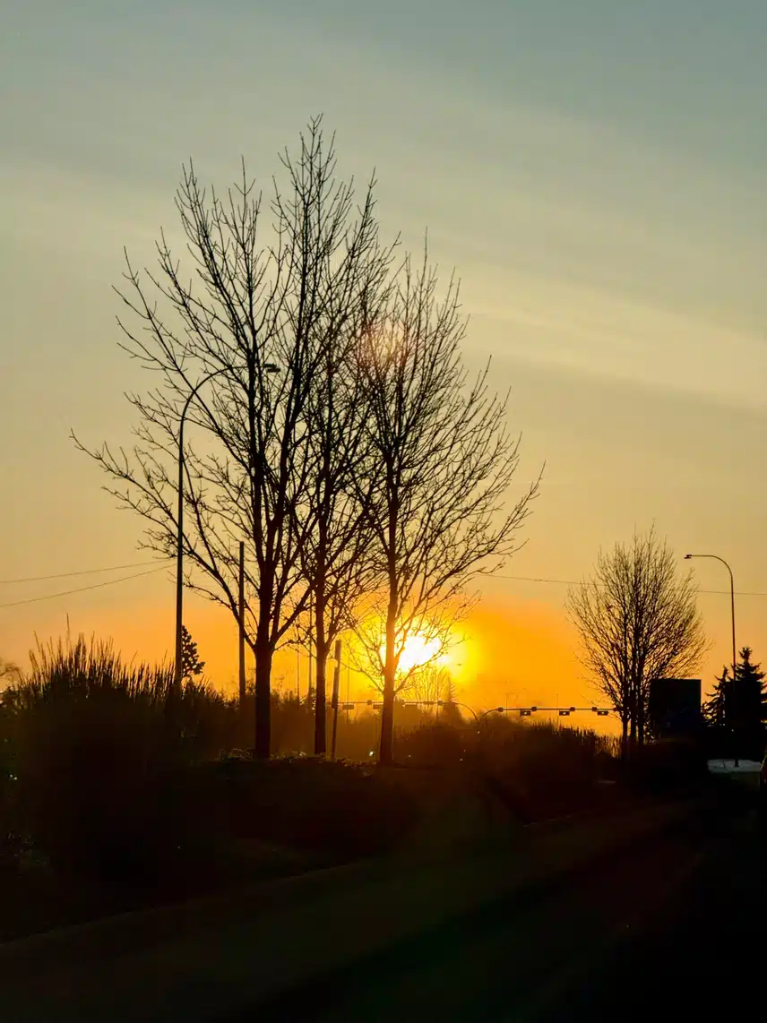 IMG_0444.jpeg_resize