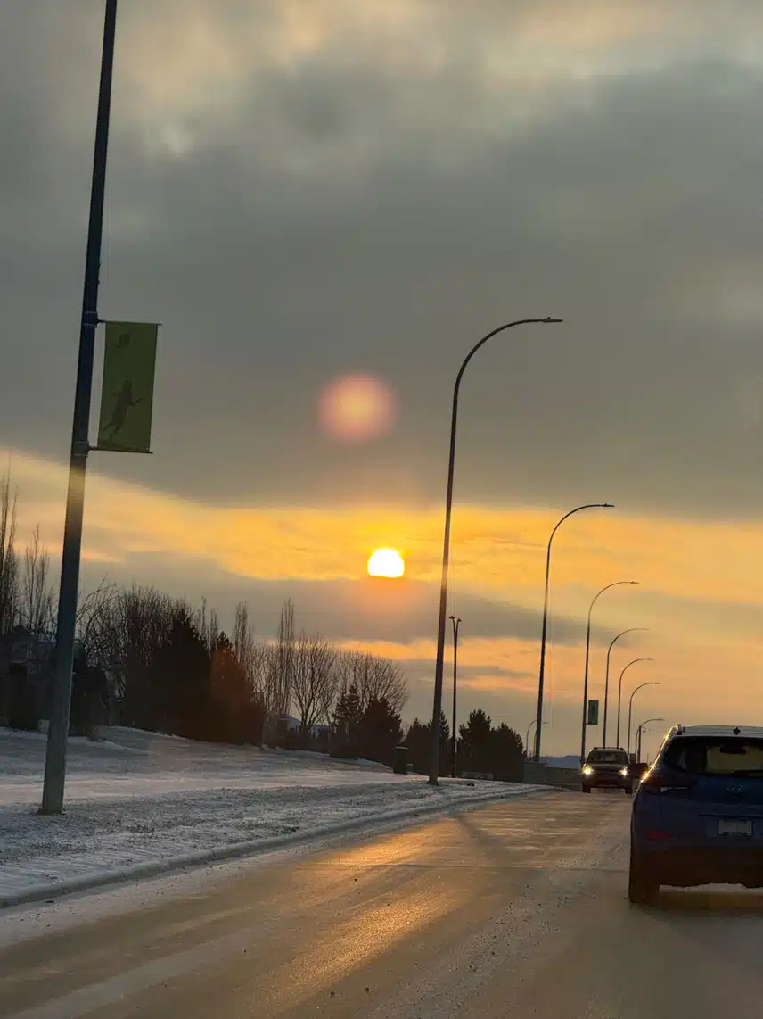 IMG_0501.jpeg_resize