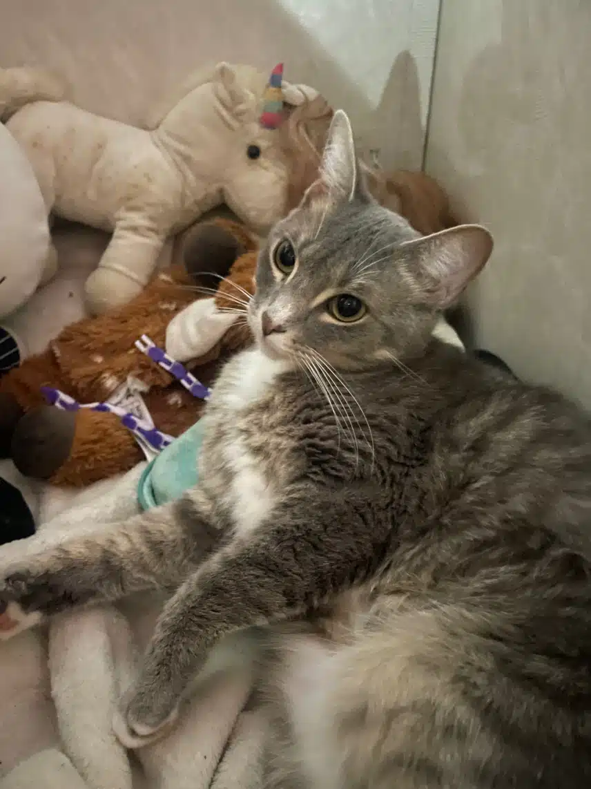 IMG_8110.jpeg_resize