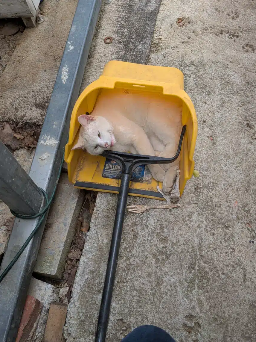 1000001741.jpg_resize