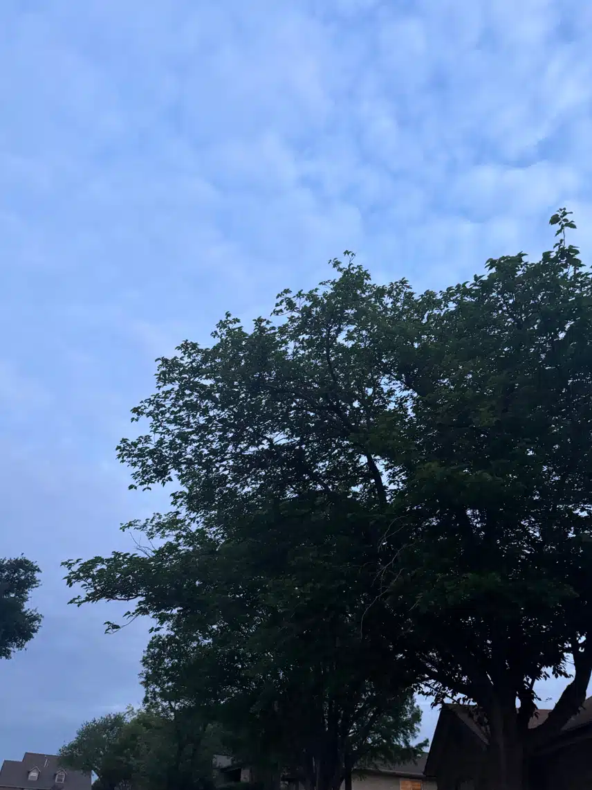 IMG_3440.jpeg_resize