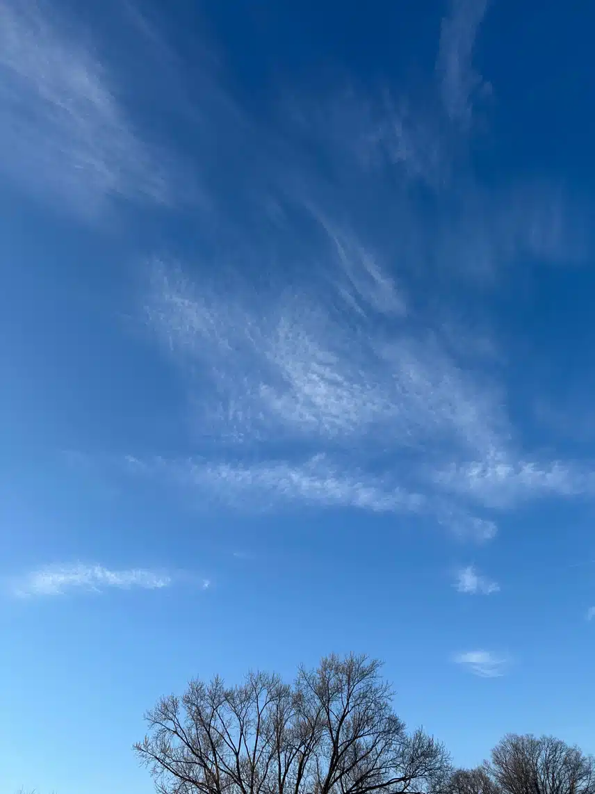 IMG_0833.jpeg_resize