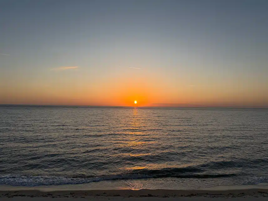 IMG_2398.jpeg_resize