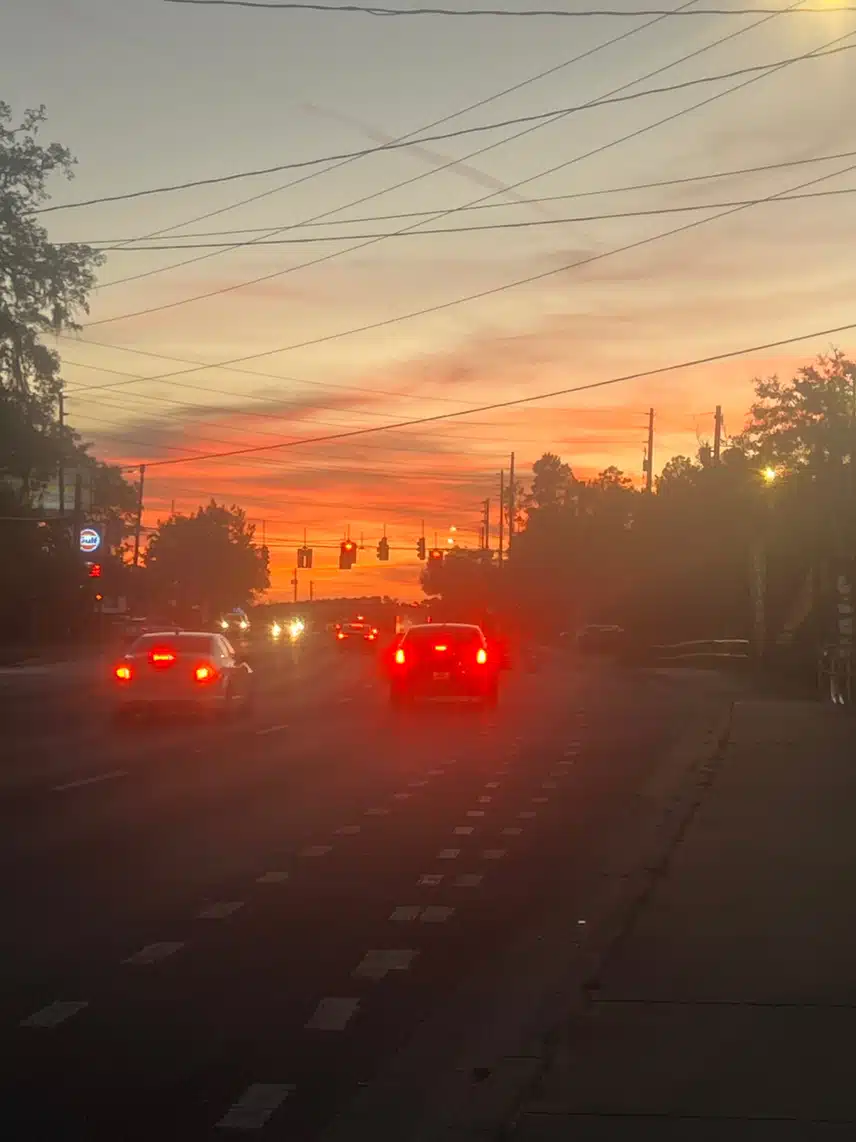 IMG_7350.jpeg_resize