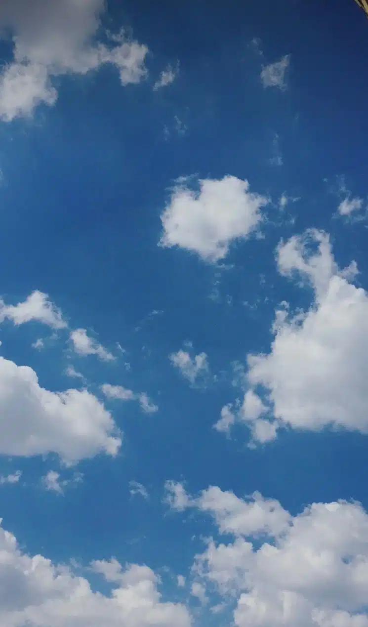 IMG_2471.jpeg_resize